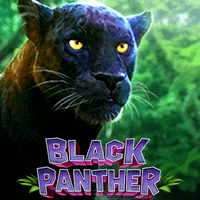 pp image